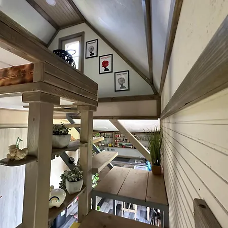 Mocvirski Tulipan Λιουμπλιάνα