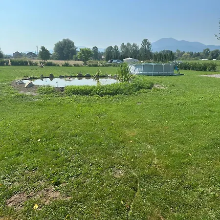 Mocvirski Tulipan * Lublaň