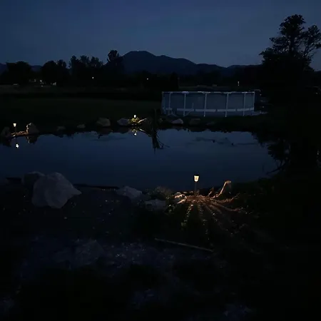 Mocvirski Tulipan * Ljubljana