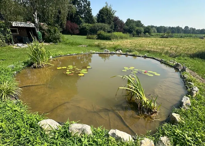 Domek alpejski Mocvirski Tulipan Lublana