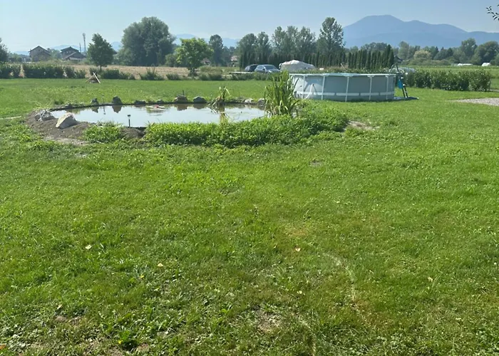 Mocvirski Tulipan * Lublaň