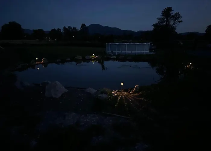 Mocvirski Tulipan * Lublana