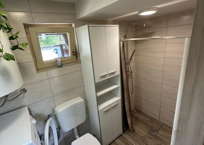 Mocvirski Tulipan * Lublana