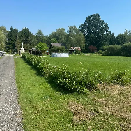 Mocvirski Tulipan ليوبليانا