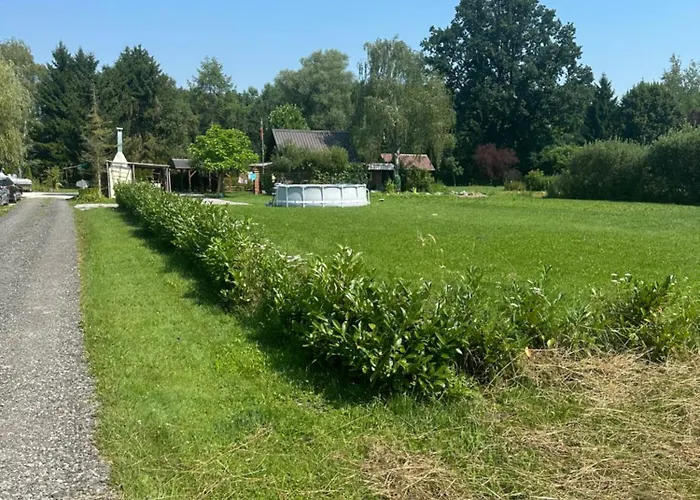 Mocvirski Tulipan ليوبليانا