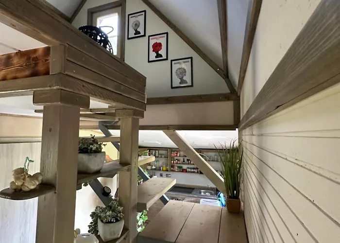 Mocvirski Tulipan ليوبليانا